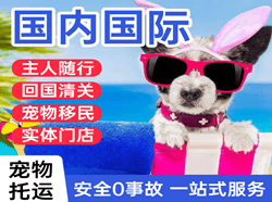 黔江武陵山机场邮寄国际宠物托运 【国